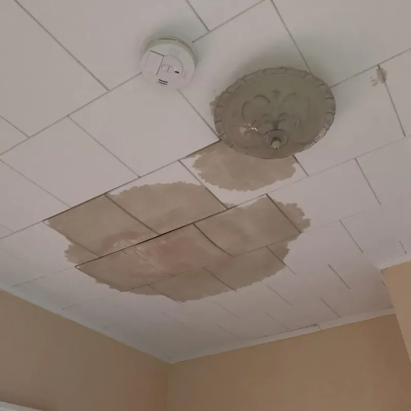 Ceiling Water Damage Repair in Edinburg, IL