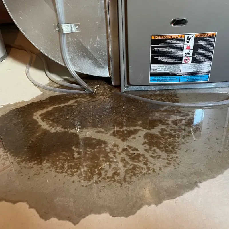 Pipe Burst and Leak Restoration in Edinburg, IL