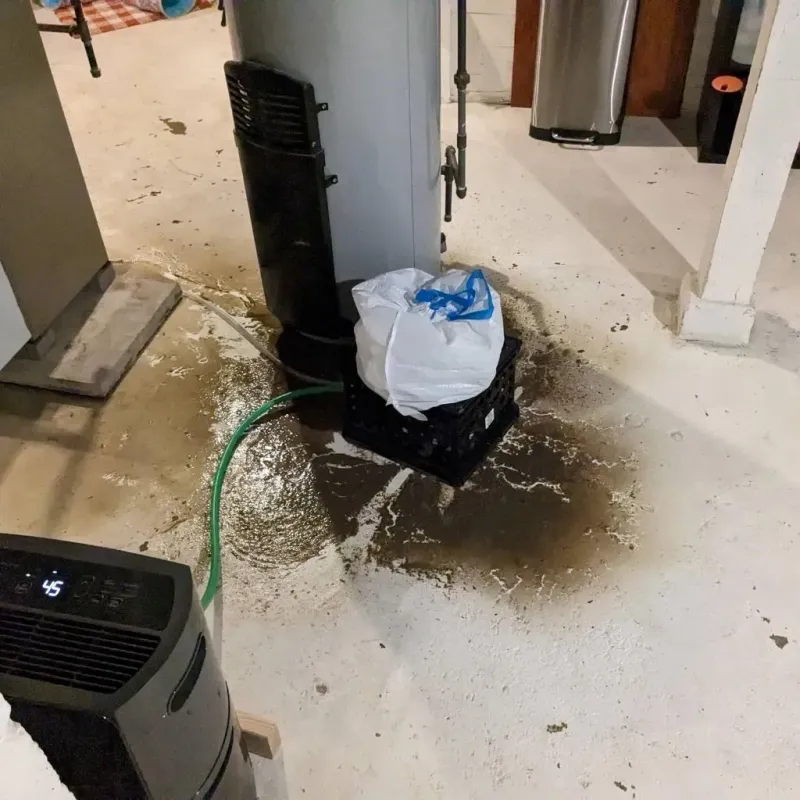 Sewage Backup Cleanup Service in Edinburg, IL